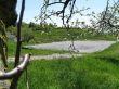 Michaela-IMG_0162.JPG