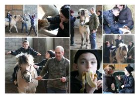 Collage-Junge01-Web.jpg