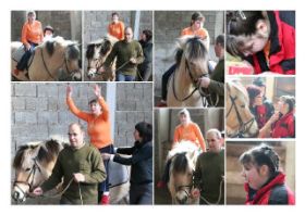 Collage-Maedchen1-Web.jpg
