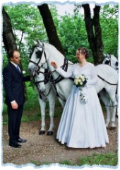 Mai 2003 - Hochzeit in Lipica - mit dem Viersp&auml;nner