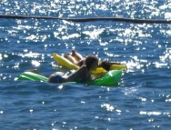 Sich treiben lassen im Meer bei Piran (Foto: Gudrun M.)